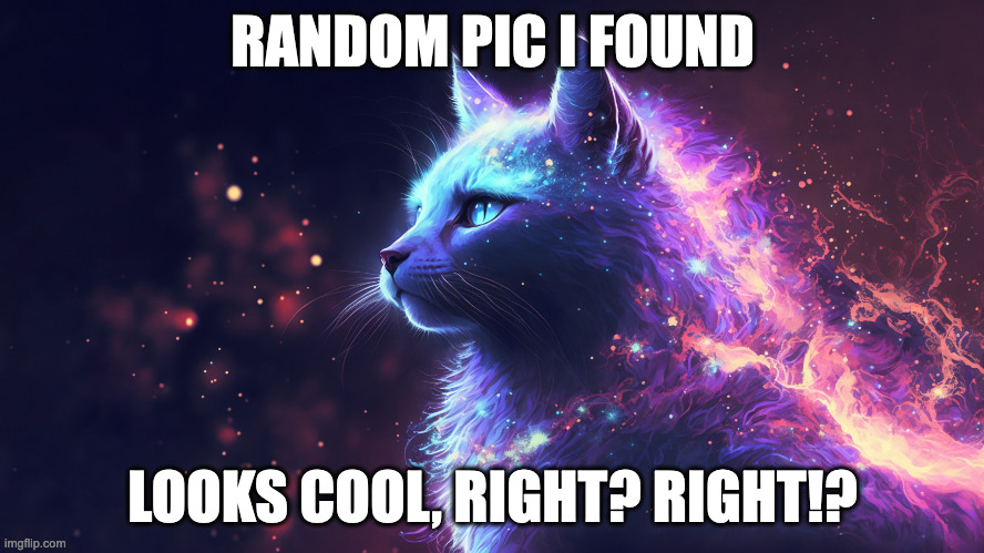 cat pic | RANDOM PIC I FOUND; LOOKS COOL, RIGHT? RIGHT!? | image tagged in cat,galaxies | made w/ Imgflip meme maker