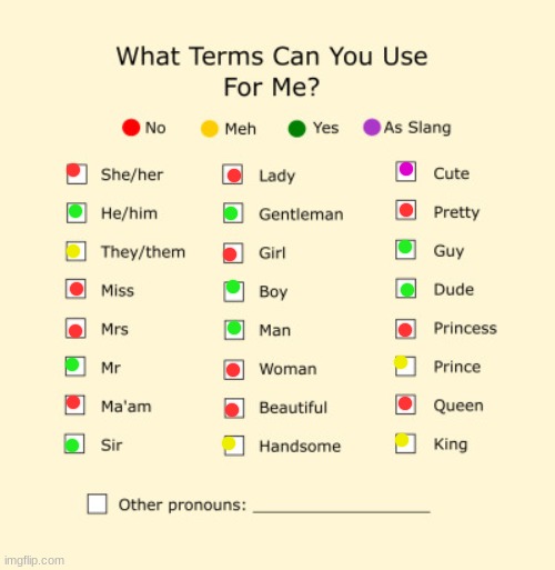 Pronouns Sheet | image tagged in pronouns sheet | made w/ Imgflip meme maker