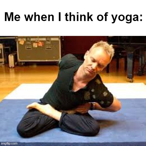 I love yoga! | Me when I think of yoga: | image tagged in sting,the police | made w/ Imgflip meme maker