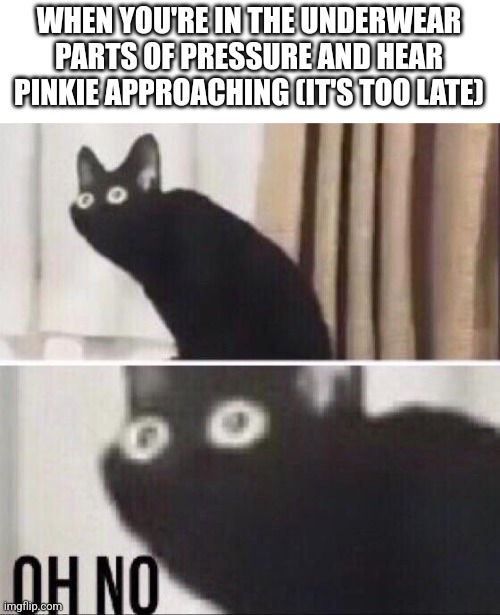 This happened to me, thanks Pinkie... | WHEN YOU'RE IN THE UNDERWEAR PARTS OF PRESSURE AND HEAR PINKIE APPROACHING (IT'S TOO LATE) | image tagged in oh no cat,roblox,roblox meme,fun,funny memes,oh no | made w/ Imgflip meme maker