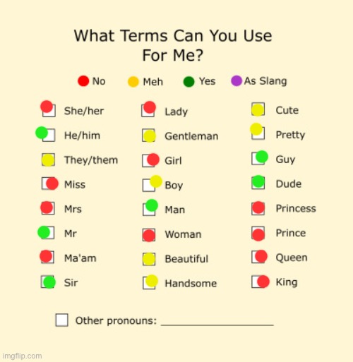 Pronouns Sheet | image tagged in pronouns sheet | made w/ Imgflip meme maker