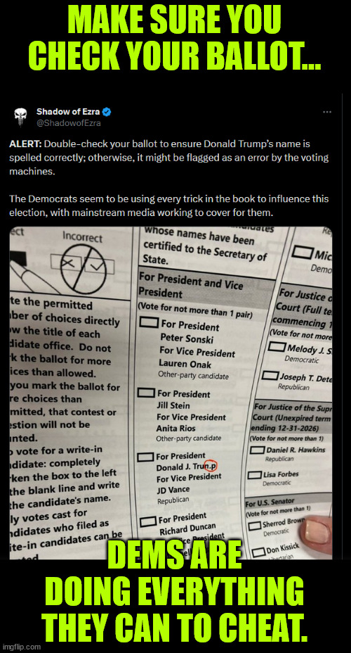 MAKE SURE YOU CHECK YOUR BALLOT... DEMS ARE DOING EVERYTHING THEY CAN TO CHEAT. | made w/ Imgflip meme maker