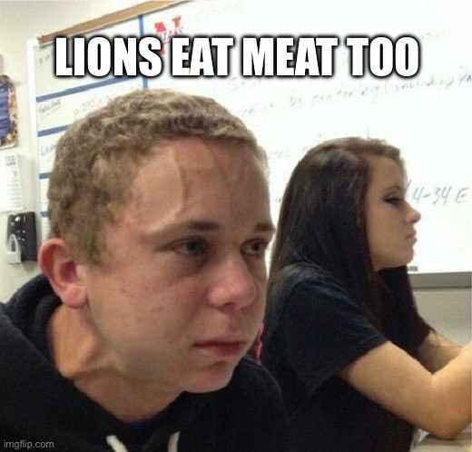 Feel free to share and tag us for a repost! @Vgang_Community | LIONS EAT MEAT TOO | image tagged in veganstruggleguy,vegan,animal meme,animal rescue,karens | made w/ Imgflip meme maker