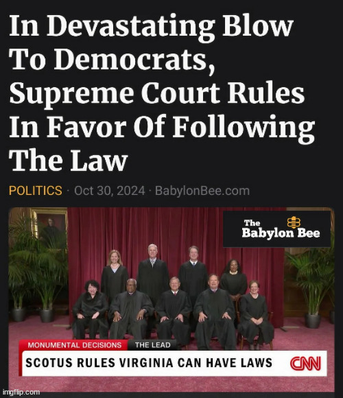 The Bee is the best...  their  satire is so truthful | image tagged in scotus,rules,non citizens,can be removed for voter registrations | made w/ Imgflip meme maker