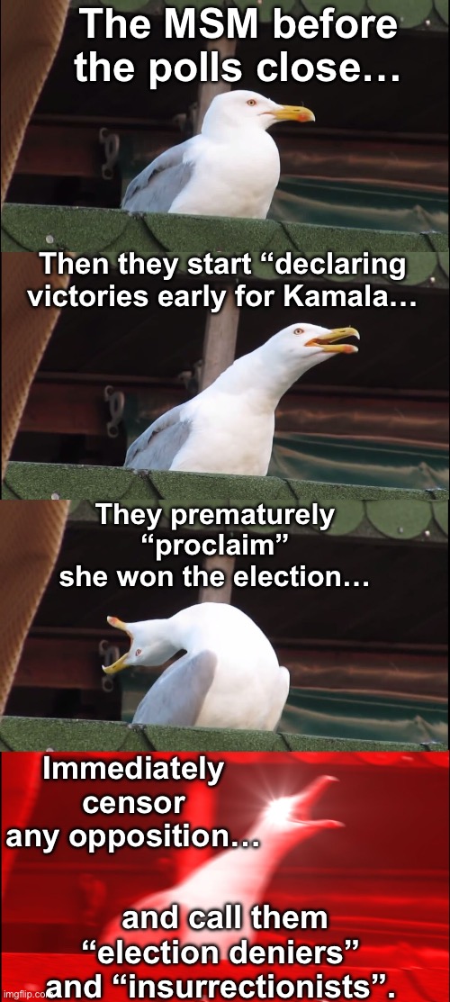 They are going to cheat… | The MSM before the polls close…; Then they start “declaring victories early for Kamala…; They prematurely “proclaim” she won the election…; Immediately censor any opposition…; and call them “election deniers” and “insurrectionists”. | image tagged in inhaling seagull,the msn is going to cheat | made w/ Imgflip meme maker