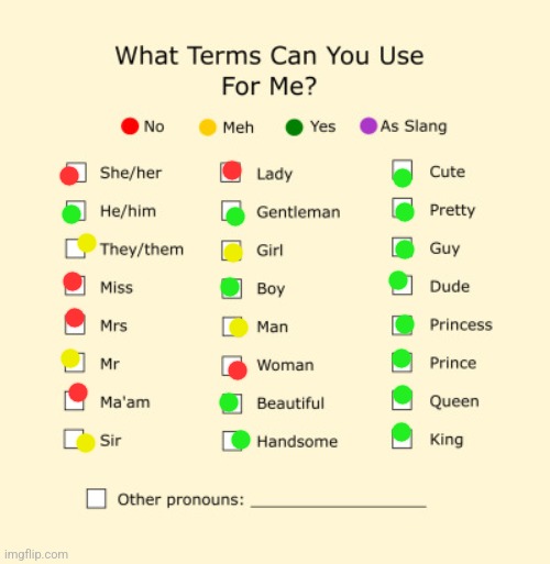 Pronouns Sheet | image tagged in pronouns sheet | made w/ Imgflip meme maker