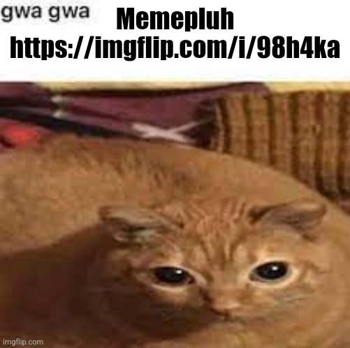 Gwa gwa | Memepluh https://imgflip.com/i/98h4ka | image tagged in gwa gwa | made w/ Imgflip meme maker