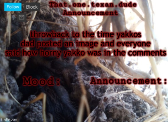 THE that.one.texan.dude announcement template | throwback to the time yakkos dad posted an image and everyone said how horny yakko was in the comments | image tagged in the that one texan dude announcement template | made w/ Imgflip meme maker