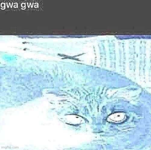 Gwa gwa | image tagged in gwa gwa | made w/ Imgflip meme maker