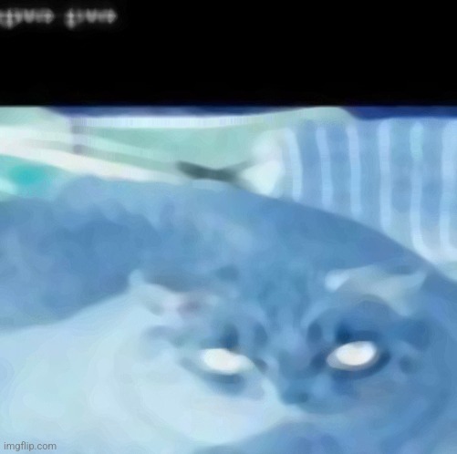 Gwa gwa | image tagged in gwa gwa | made w/ Imgflip meme maker