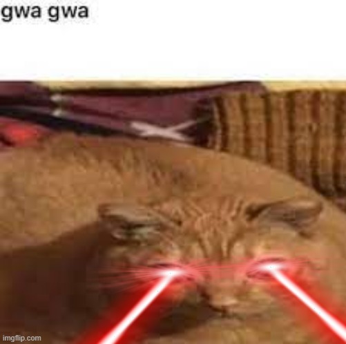 Gwa gwa | image tagged in gwa gwa | made w/ Imgflip meme maker