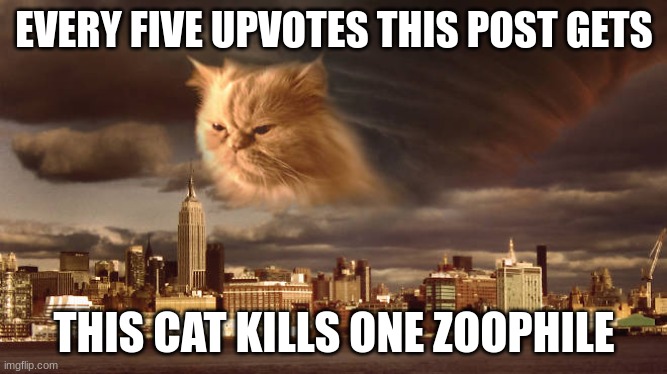 this will be perfect for the fun stream | EVERY FIVE UPVOTES THIS POST GETS; THIS CAT KILLS ONE ZOOPHILE | image tagged in end of the world cat | made w/ Imgflip meme maker