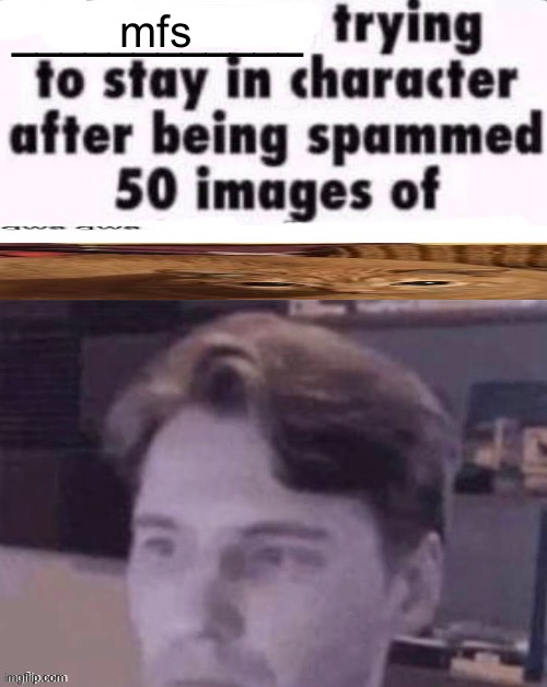 X trying to stay in character after being spammed 50 images of Y | mfs | image tagged in x trying to stay in character after being spammed 50 images of y | made w/ Imgflip meme maker