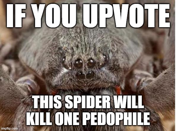 upvoting gives points y'know | IF YOU UPVOTE; THIS SPIDER WILL KILL ONE PEDOPHILE | image tagged in bad spider | made w/ Imgflip meme maker