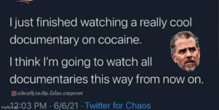 And his home made foot job porn with 'Nat" I'm sure | image tagged in hunter cocaine documentary meme,wheres hunter | made w/ Imgflip meme maker