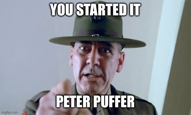 R. Lee Ermy  | YOU STARTED IT PETER PUFFER | image tagged in r lee ermy | made w/ Imgflip meme maker