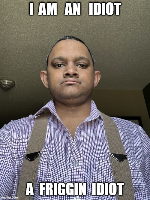 I  AM   AN   IDIOT; A  FRIGGIN  IDIOT | made w/ Imgflip meme maker