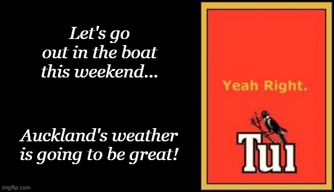 Boating in Auckland | Let's go out in the boat this weekend... Auckland's weather is going to be great! | image tagged in tui | made w/ Imgflip meme maker