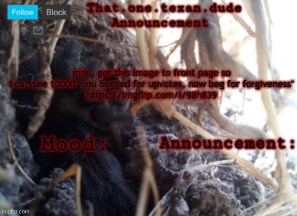 THE that.one.texan.dude announcement template | men, get this image to front page so I can see 10000 "you begged for upvotes, now beg for forgiveness"
https://imgflip.com/i/98h839 | image tagged in the that one texan dude announcement template | made w/ Imgflip meme maker