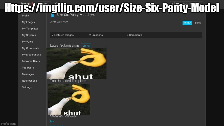 Https://imgflip.com/user/Size-Six-Panty-Model | made w/ Imgflip meme maker