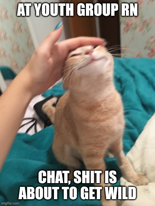 :3 | AT YOUTH GROUP RN; CHAT, SHIT IS ABOUT TO GET WILD | image tagged in cat pat | made w/ Imgflip meme maker