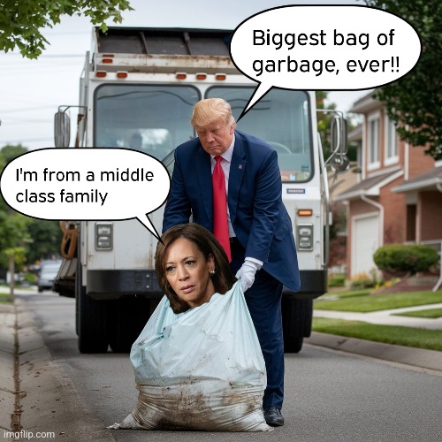 Trump Garbage Collector | image tagged in donald trump,trump,president trump,garbage dump,garbage | made w/ Imgflip meme maker