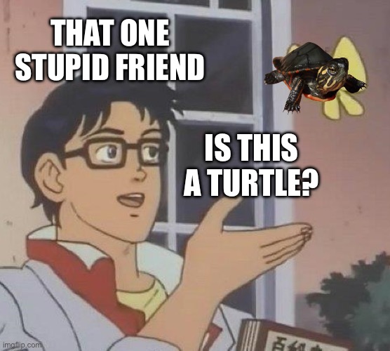 We all have that one stupid friend | THAT ONE STUPID FRIEND; IS THIS A TURTLE? | image tagged in memes,is this a pigeon,g | made w/ Imgflip meme maker