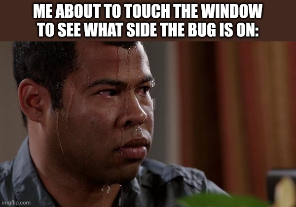 Image Title | ME ABOUT TO TOUCH THE WINDOW TO SEE WHAT SIDE THE BUG IS ON: | image tagged in sweating bullets,not funny,memes | made w/ Imgflip meme maker