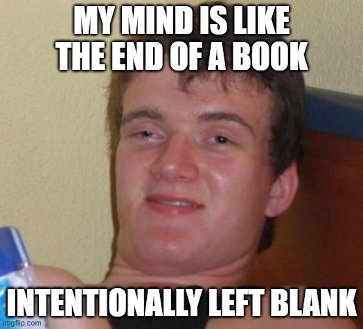 10 Guy | MY MIND IS LIKE THE END OF A BOOK; INTENTIONALLY LEFT BLANK | image tagged in memes,10 guy | made w/ Imgflip meme maker