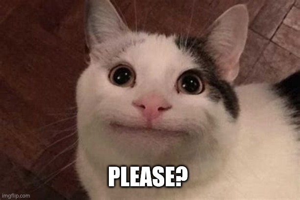 Polite Cat Please | PLEASE? | image tagged in polite cat | made w/ Imgflip meme maker