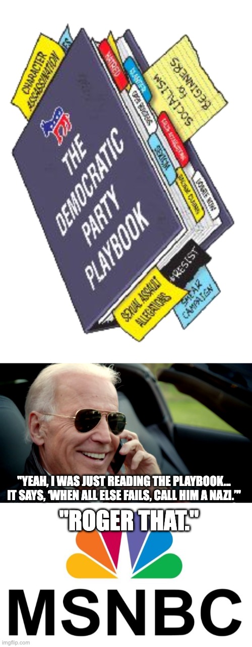 Trump Called a Nazi | "YEAH, I WAS JUST READING THE PLAYBOOK... IT SAYS, ‘WHEN ALL ELSE FAILS, CALL HIM A NAZI.’"; "ROGER THAT." | image tagged in democrat playbook,biden sunglasses phone,msnbc | made w/ Imgflip meme maker