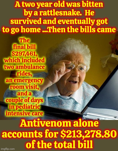 Grew Up Around Rattlers.. Killed A Few... Never Feared Them But A Two Hundred Ninty Seven THOUSAND Dollar Hospital Bill Does | A two year old was bitten by a rattlesnake.  He survived and eventually got to go home ...Then the bills came; The final bill
$297,461, which included two ambulance rides, an emergency room visit, and a couple of days in pediatric intensive care; Antivenom alone accounts for $213,278.80 of the total bill | image tagged in memes,grandma finds the internet,no way,way,ridiculous,what the | made w/ Imgflip meme maker