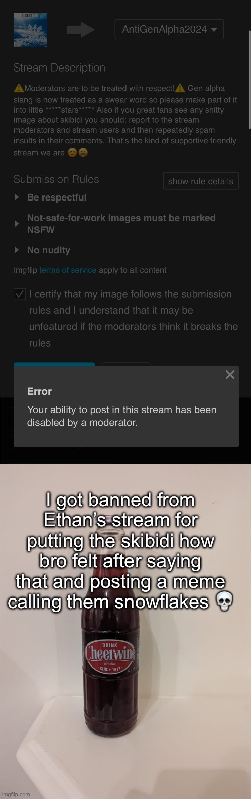 I got banned from Ethan’s stream for putting the skibidi how bro felt after saying that and posting a meme calling them snowflakes 💀 | image tagged in cheerwine | made w/ Imgflip meme maker