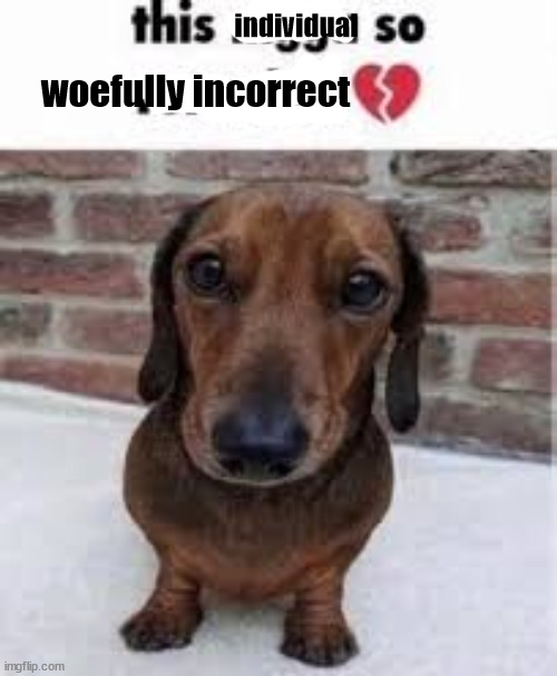 individual woefully incorrect | made w/ Imgflip meme maker