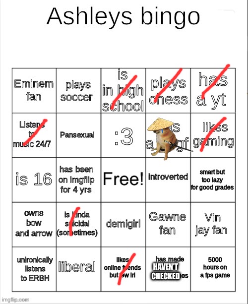 Ashley's bingo | HAVEN’T CHECKED | image tagged in ashley's bingo | made w/ Imgflip meme maker