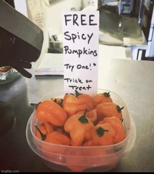 Spicy Pumpkins, Trick or Treat ? | image tagged in spicy pumpkins,halloween,free,hot,funny,funny meme | made w/ Imgflip meme maker