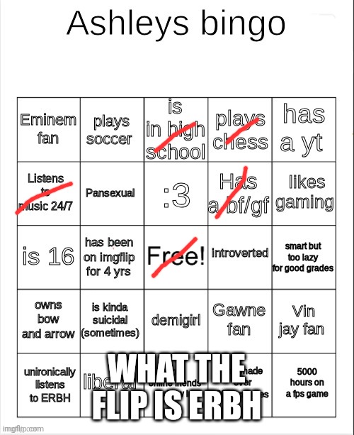 Ashley's bingo | WHAT THE FLIP IS ERBH | image tagged in ashley's bingo | made w/ Imgflip meme maker