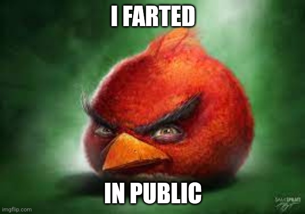 Realistic Red Angry Birds | I FARTED; IN PUBLIC | image tagged in realistic red angry birds | made w/ Imgflip meme maker