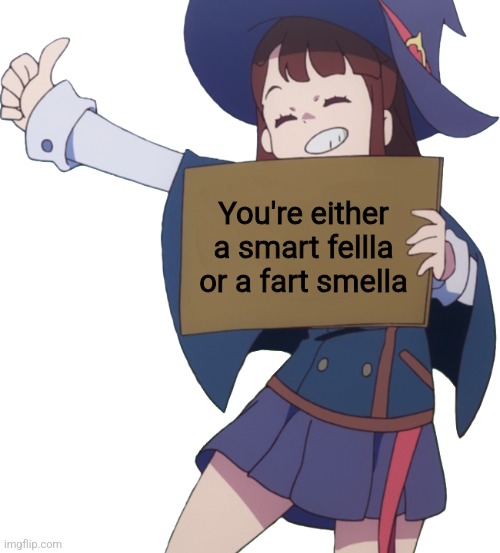 Akko sign | You're either a smart fellla or a fart smella | image tagged in akko sign | made w/ Imgflip meme maker