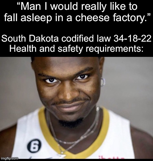 zion stare (rizz) | “Man I would really like to fall asleep in a cheese factory.”; South Dakota codified law 34-18-22
Health and safety requirements: | image tagged in zion stare rizz | made w/ Imgflip meme maker