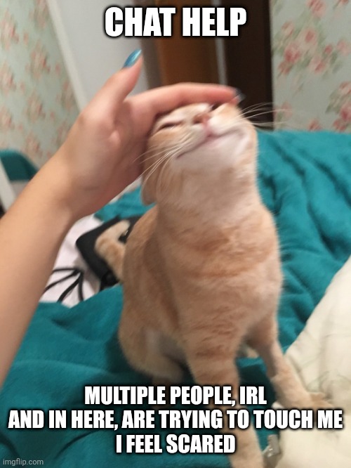 :3 | CHAT HELP; MULTIPLE PEOPLE, IRL AND IN HERE, ARE TRYING TO TOUCH ME
I FEEL SCARED | image tagged in cat pat | made w/ Imgflip meme maker