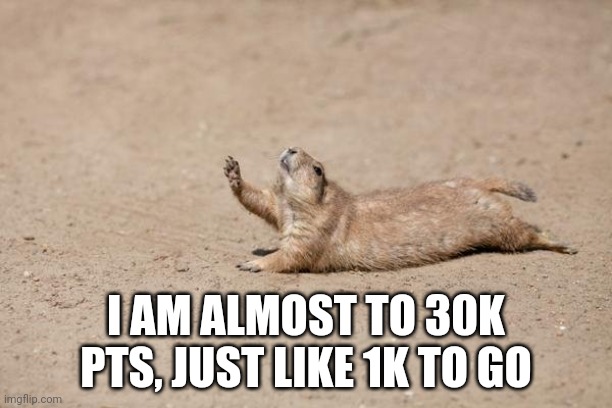 So Close | I AM ALMOST TO 30K PTS, JUST LIKE 1K TO GO | image tagged in so close | made w/ Imgflip meme maker