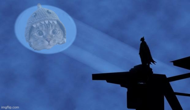 batman signal | image tagged in batman signal | made w/ Imgflip meme maker