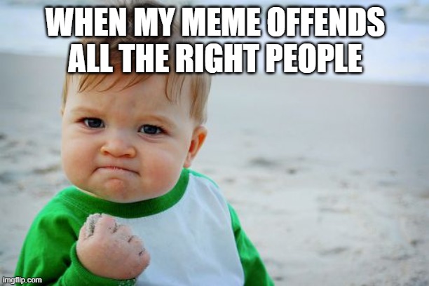 Success Kid Original Meme | WHEN MY MEME OFFENDS ALL THE RIGHT PEOPLE | image tagged in memes,success kid original | made w/ Imgflip meme maker