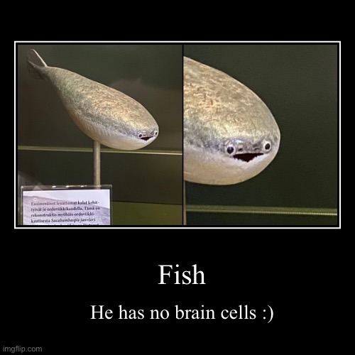 Fish | He has no brain cells :) | image tagged in funny,demotivationals | made w/ Imgflip demotivational maker