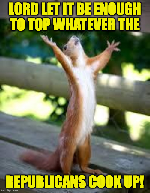 Praise Squirrel | LORD LET IT BE ENOUGH
TO TOP WHATEVER THE REPUBLICANS COOK UP! | image tagged in praise squirrel | made w/ Imgflip meme maker