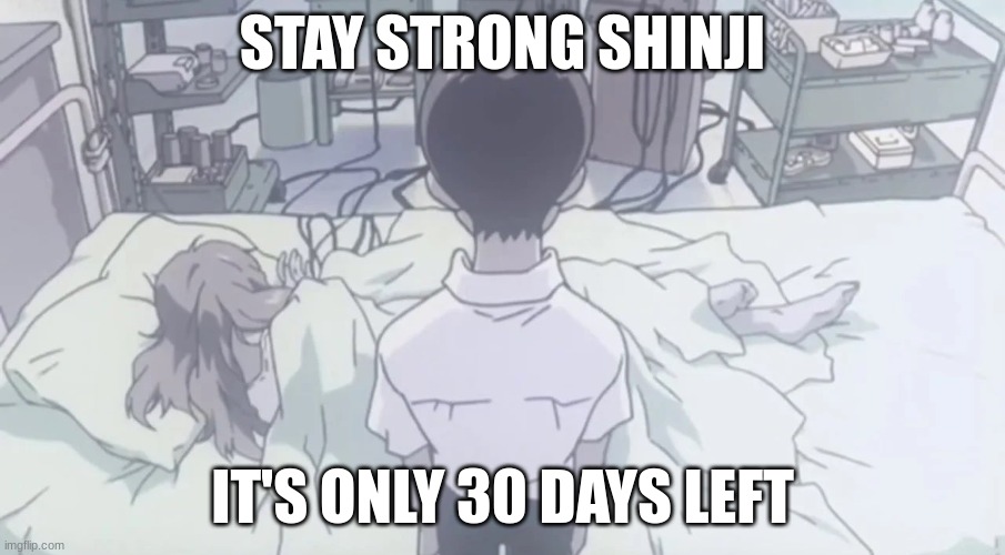 Nonutnovember is upon us | STAY STRONG SHINJI; IT'S ONLY 30 DAYS LEFT | image tagged in neon genesis evangelion,evangelion,shinji ikari,asuka langley soryu,no nut november,hospital | made w/ Imgflip meme maker