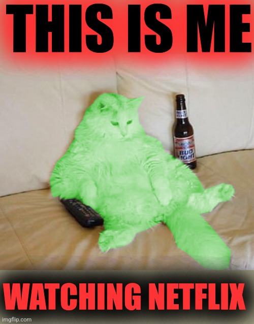 RayCat Chillin' | THIS IS ME WATCHING NETFLIX | image tagged in raycat chillin' | made w/ Imgflip meme maker