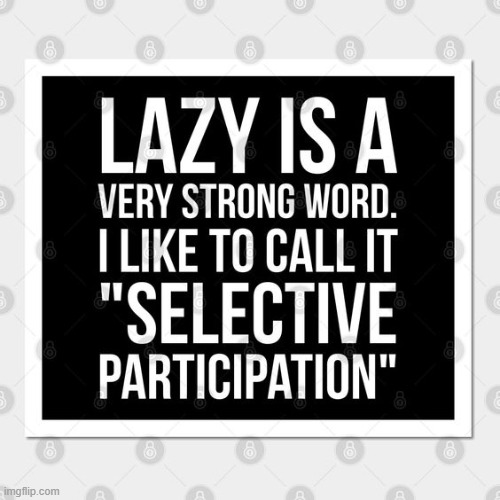 Definition of lazy | image tagged in lazy,that's not how this works,lol,offensive,sugar coat,funny | made w/ Imgflip meme maker