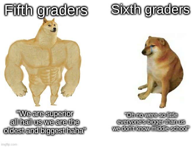 Buff Doge vs. Cheems Meme | Fifth graders; Sixth graders; "We are superior all hail us we are the oldest and biggest haha"; "Oh no were so little everyone's bigger than us we don't know middle school" | image tagged in memes,buff doge vs cheems | made w/ Imgflip meme maker